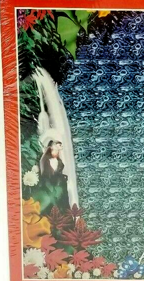 Hidden Rainforest 500 PIECES - 18