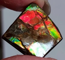 Ammolite  Ammonite Coated Stone 21x21.5x5.5mm 20160
