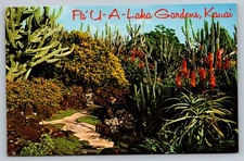 Moir's Pa'U-A-Laka Gardens Hawaii HI c1960 Vintage Postcard
