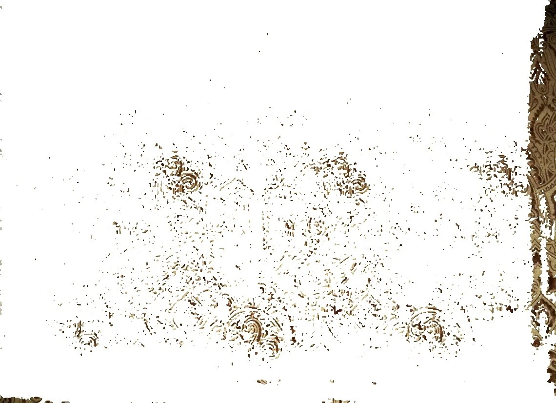 Géneros artesanales de terciopelo de Paisley