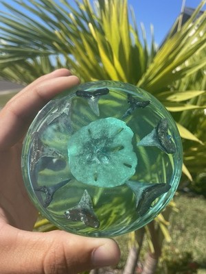 Shark Tooth Coaster Resin Art Real Shark Teeth Sand Dollar