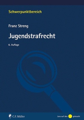 Franz Streng Jugendstrafrecht (Schwerpunktbereich) (Paperback) (UK IMPORT)