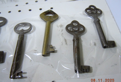 Vintage - Antique Lot of 17 Old Skeleton Keys- Brass & Steel - Foto 3 di 5