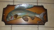 Arctic Grayling Taxidermy Mounted Fish, 15"