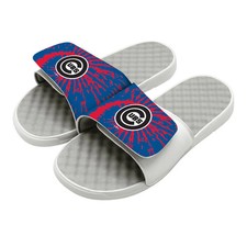 Chicago Cubs Slides