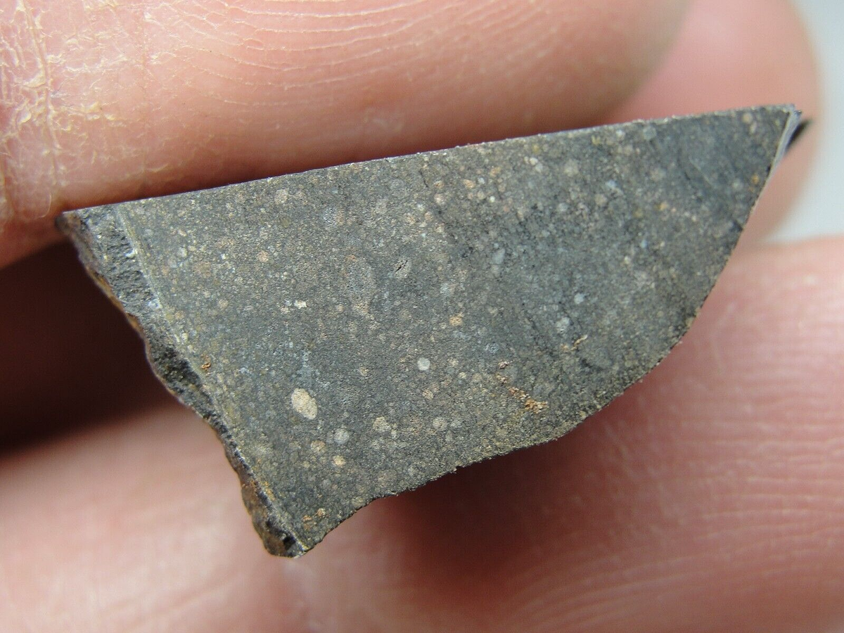 NWA 8345 Carbonaceous CO3.2 Chondrite Meteorite - G513-0001 - 8.61