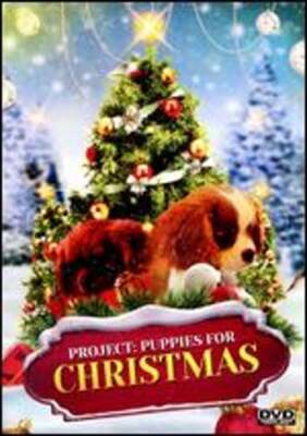 Project: Puppies for Christmas by Dan Hewitt Owens: New