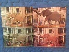 4 Elephants - in DC unused PCs