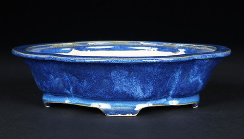 Brussel's Bonsai-Topf Glasiert 17,8 Cm (M) In Blau – Inkl. Wurzeldraht & Sieb Für Bonsai, Sukkulenten & Zimmerpflanzen