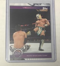 Kalisto Defeats Akira Tozawa 2019 WWE Topps Road To WrestleMania Update Card U-9