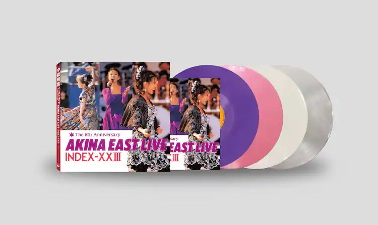AKINA Nakamori EAST LIVE INDEX-XXIII 12