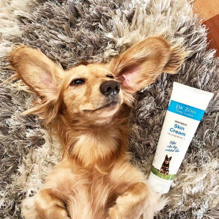 Dr Zoo Anti Itch Cream Safe For Dogs Dr Zoo Irritable Skin Cream 120g