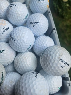 40 Precept Laddie XTreme AA/A Lakeballs - Golfbälle -Preisleistung - Vielspieler