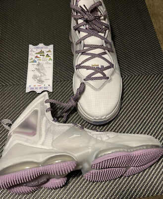 Nike LeBron 19 XIX Strive For Greatness Basketball Shoes 9.5 Mens