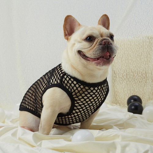 Pet Puppy Small Dog Cat Summer Mesh Vest T-Shirt Dog Fishnet Costume Or Headband - Picture 6 of 20