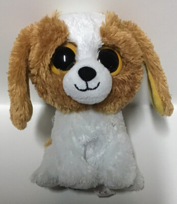 TY Beanie Boo Buddies Cookie Dog 6” Solid Eyes Plush Stuffed Animal Toy  - Main Image