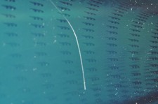 17.3 Inch Laptop LED LCD Screen for HP 17.3 Notebooks - w/ 3 Scratches