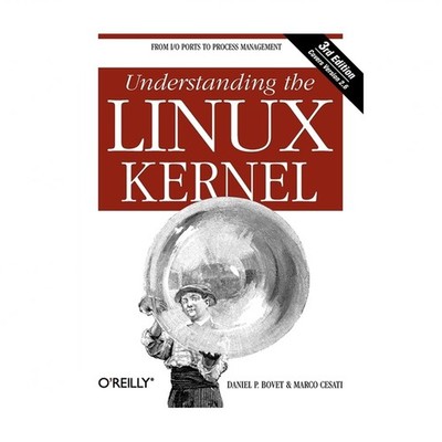 Understanding the Linux Kernel: From I/O Ports to Process Management