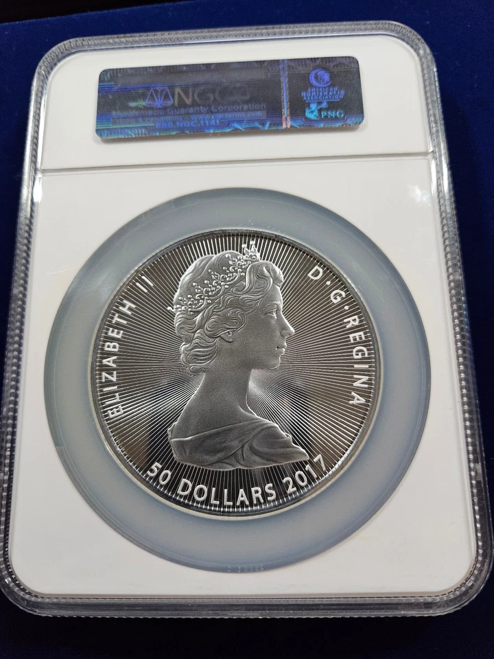 🌟 2017 Canada $50 10 Oz Silver Niagara Falls Commemorative Coin NGC MS70 FDOI - Image 3 of 3