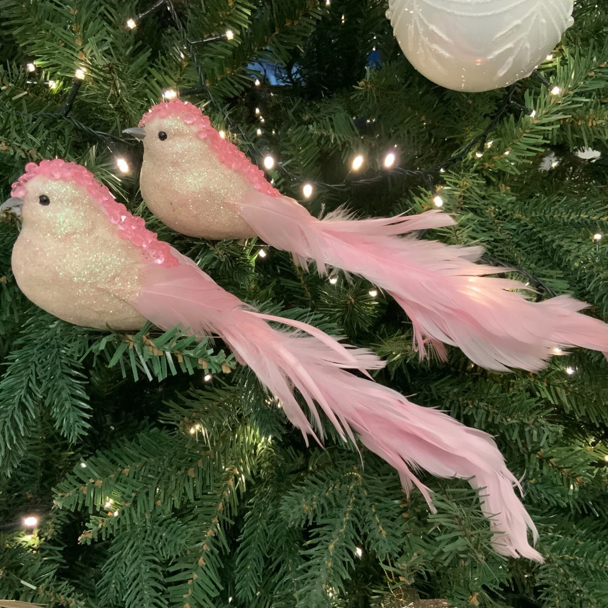 Aggregate more than 157 clip on bird decorations latest vova.edu.vn