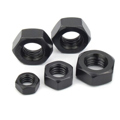 Black 304 Stainless Steel Hex Full Nuts M2 M2.5 M3 M4 M5 M6 M8M10M12M14M16M18M20