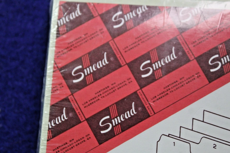 SMEAD INDEX CARD DAILY GUIDE SET 1-31 days of month 8 x 5" light green - Image 2 of 4