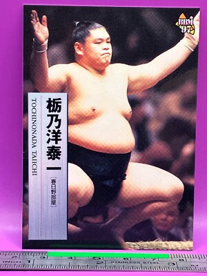 TOCHINONADA TAIICHI Sumo Wrestler Trading Card BBM 1997 Rikishi
