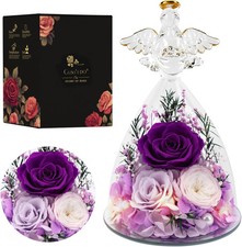 Casaido Mothers Day Rose Gifts for Women, 7" Purple Preserved Roses Flowers in G
