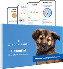Panel Essential Dog DNA Testing Kit - Most Accurate Test for 430 Dog Breeds, 30