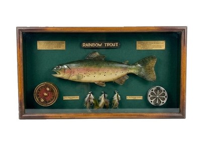 Vtg  Rainbow Trout Fishing Shadow Box Cabin Lodge Wall Decor Fly Rod Lures 21x11