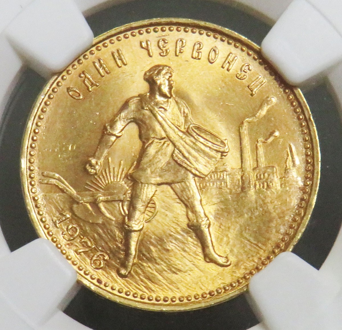 1925年 サンマリノ 10リラ金貨 NGC MS65 Grade MS 65 NGC Sammarinese Coins for sale | eBay