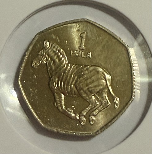 1991 Botswana 1 Pula Zebra Coin African Animal World Wildlife Currency