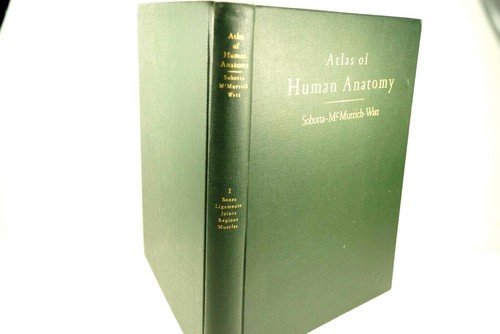Atlas of Human Anatomy Volume I, by Dr Sobotta and Dr McMurrich, 1939 5th ED FN - Picture 2 of 9