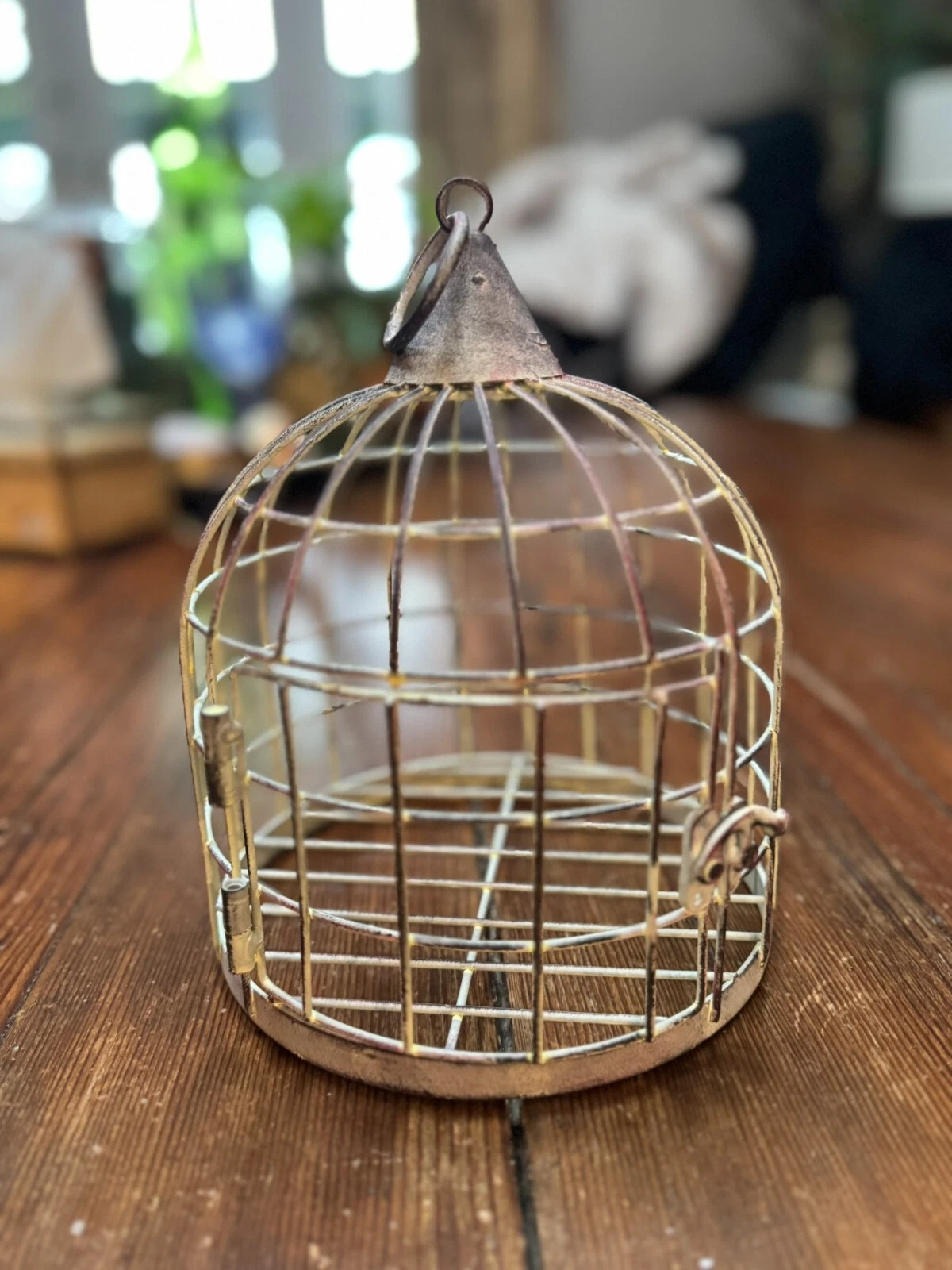 Vintage Metal Iron Hanging Small Lovebird Finch 8.5" Bell Shape Bird Cage
