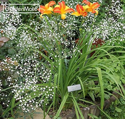 GardenMate 50-Pack Weatherproof Large Zinc Metal Plant Labels, Assorted Sizes - Picture 7 of 34