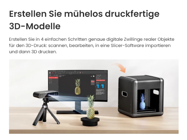 Bild 5 von 12