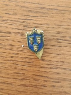 Regno d'Italia Distintivo PRO DALMAZIA Johnson Milano