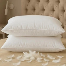 BHZ Down Feather Standard/Queen Pillows Set of 2 Pack, Luxury Hotel Collectio...