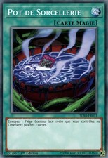 Yu-Gi-Oh: Witchcraft Pot | SDSB-FR031 | Commune | NM | FR