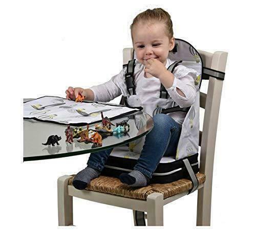 polar gear booster seat