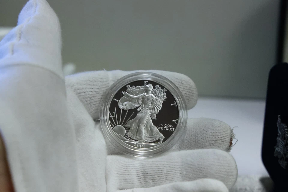 Lingotes de prueba de $1 dólar American Silver Eagle 2001 W 1 oz caja original/certificado de autenticidad Foto 2 de 4