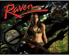 Gottlieb RAVEN Pinball Machine Translite  Awesome ARTWORK CUSTOM 03