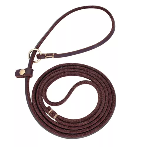 Slip Leads for Small Dogs Thin Leather 4ft/5ft Pet Puppy Walking Leash Brown Red - Picture 1 of 10