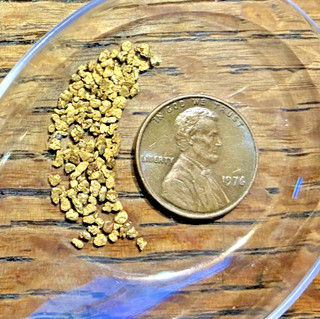 GOLD NUGGET 1.03 gm ALASKAN Gold 14 mesh Nuggets... JJG118