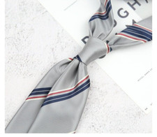 New Classic Striped Gray Blue JACQUARD WOVEN 100 Silk Men's Necktie Tie