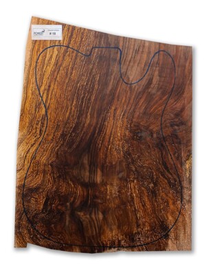 Electric Guitar Drop Top 1 Piece Highly Figured Spanish Walnut Root # 18