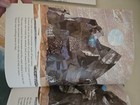 Picture 5 of 8