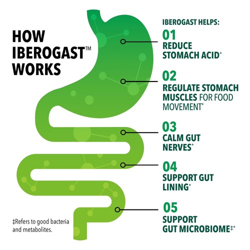 Iberogast Liquid Drops Occasional Upset Stomach,Indigestion,Bloating,Gas,20 mL. - Picture 3 of 7