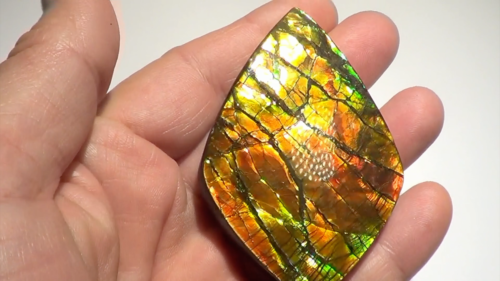 340 Carat.!! I Sammler Ammolite /Drachenschuppe Rot Grün-Golden-Orange + VIDEO - Video 1 von 1