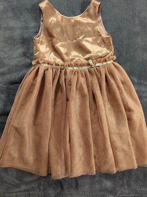 H&M Girls 4T Brown Tulle Fancy Dress Gold Shimmer | eBay